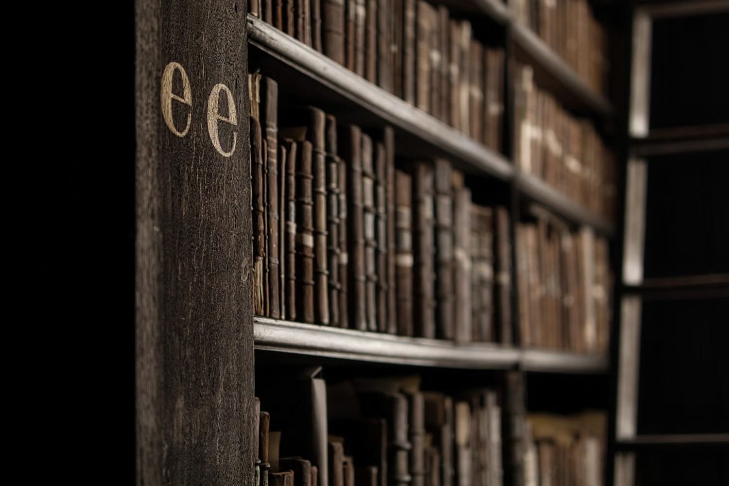 A dark library shelf of aged, leather-bound scientific volumes